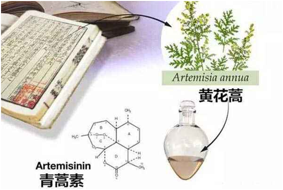 多宝手机官网（上海）有限公司,：向中医药看齐，与世界共享中医药文化(图1)